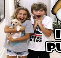 Kayla loves animals including her pet dog Harley who could also be seen in many of her family's YouTube videos.